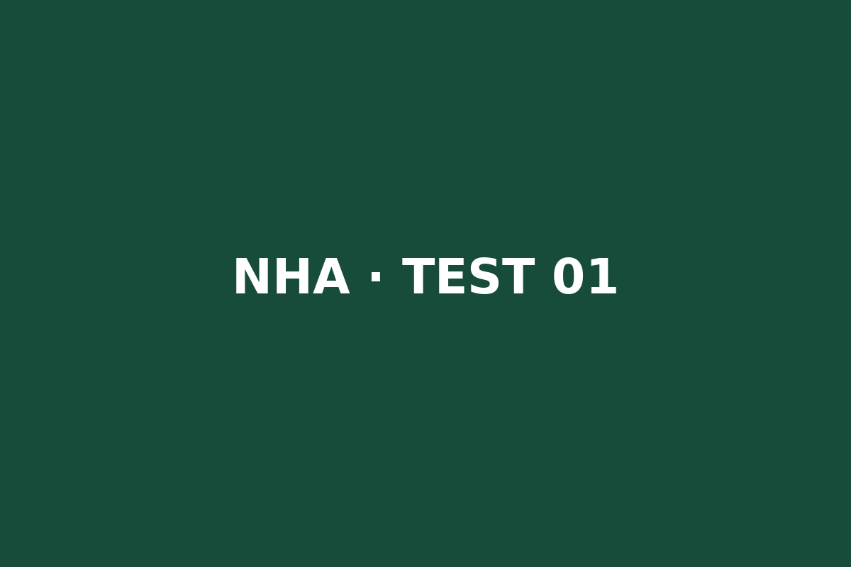 Image test 1